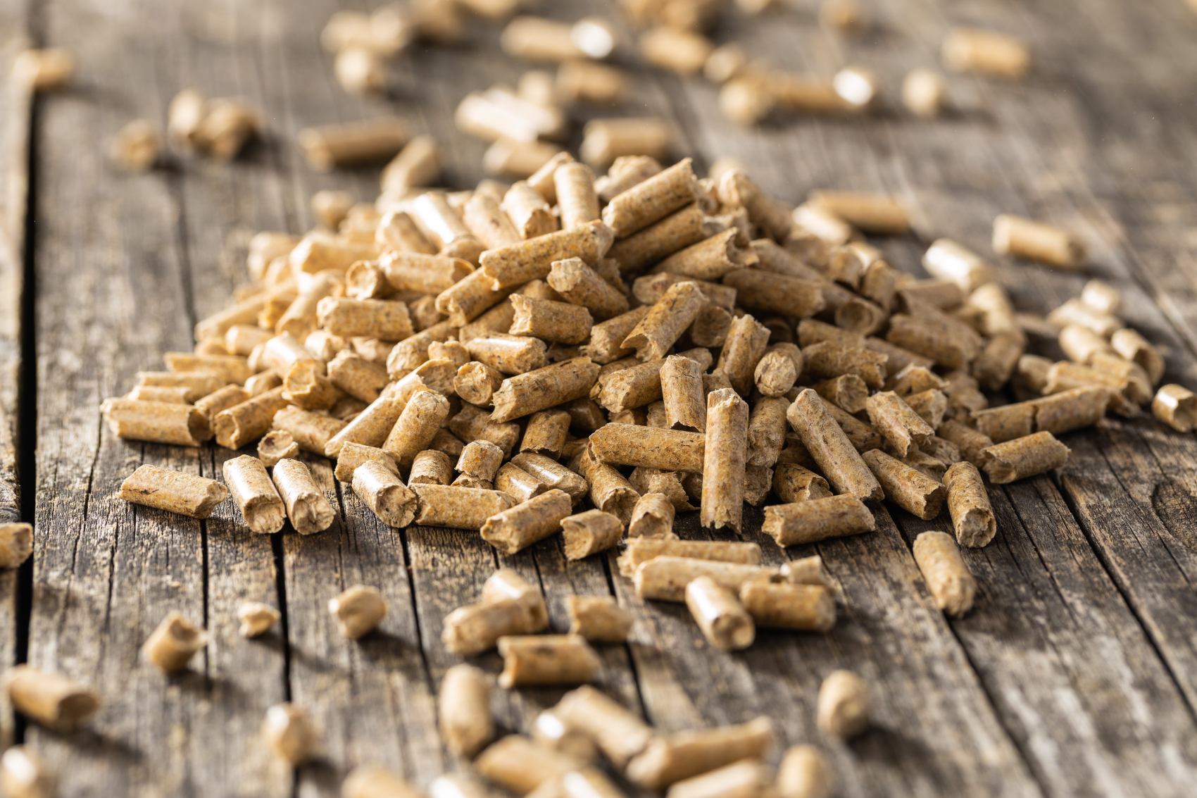 Pellet Standard - Image 4