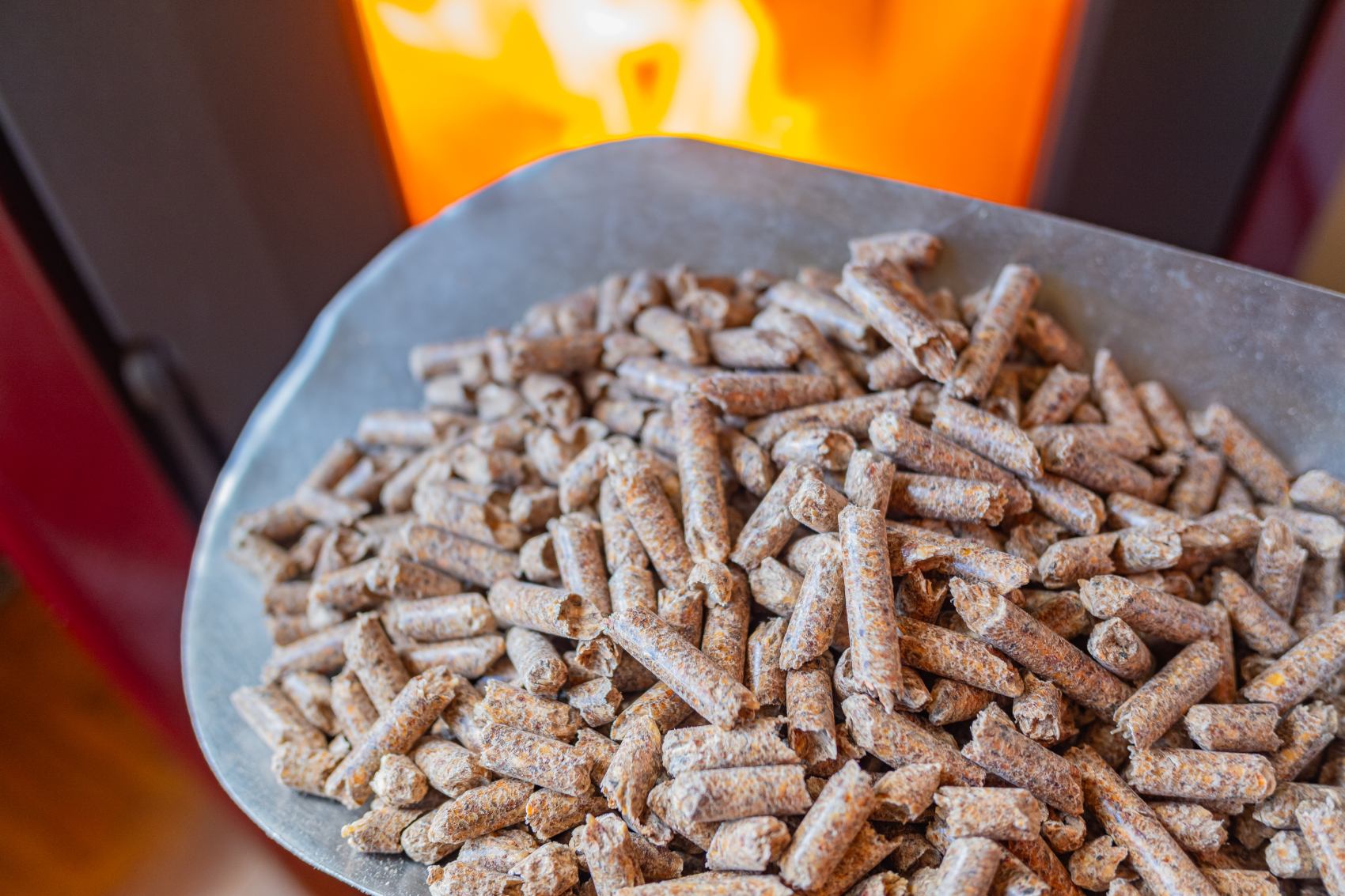 Pellet Standard - Image 3