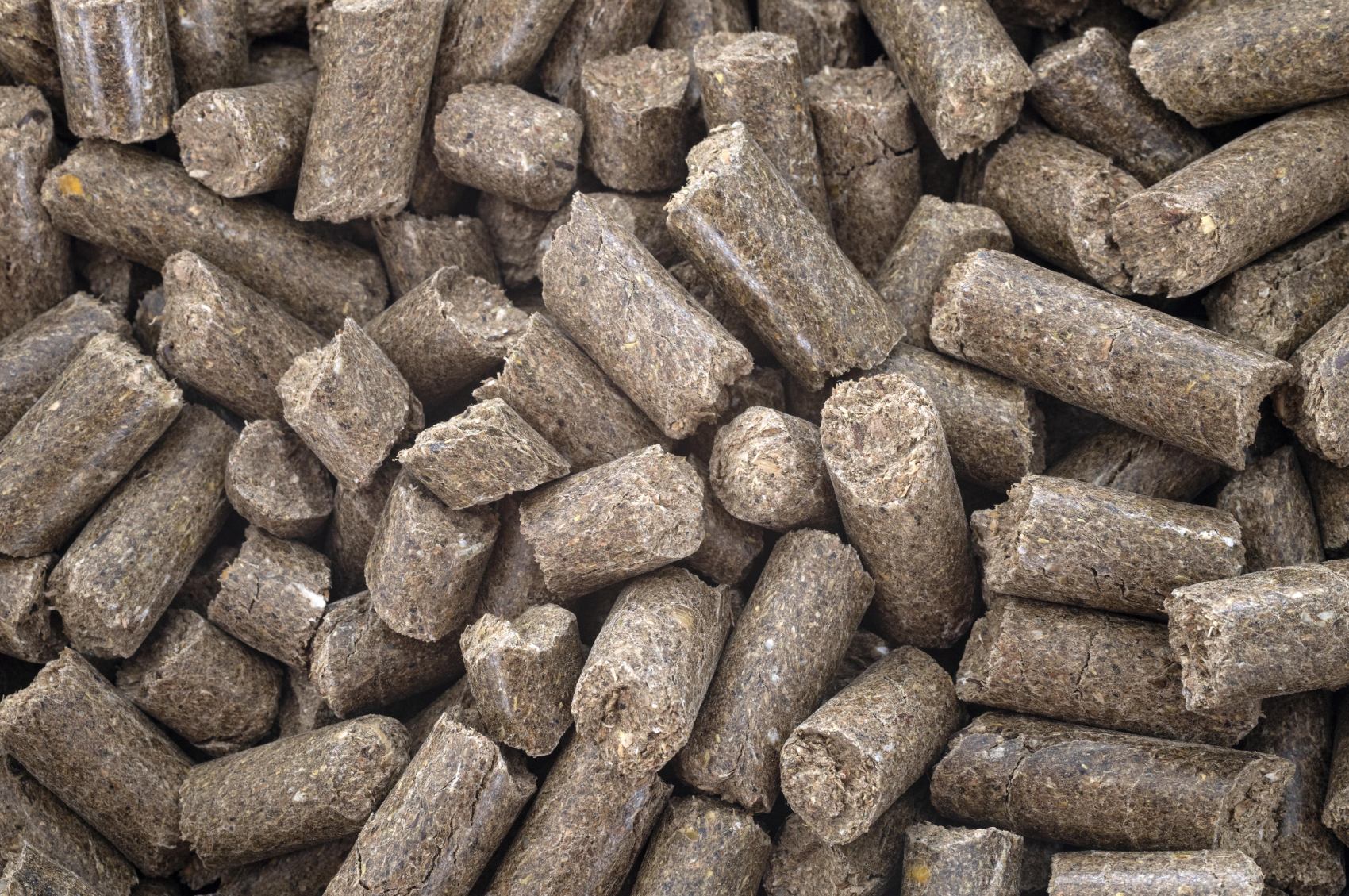 Pellet Standard - Image 2